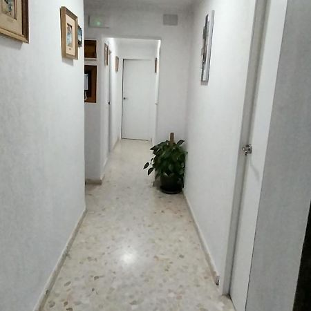 La Rosa De Oro Villa Jerez de la Frontera Dış mekan fotoğraf
